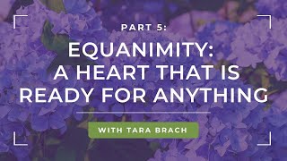 Heart Opening Practice Developing a Resilient Heart with Tara Brach Part 5 [upl. by Lavinia]