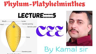 Phylum Platyhelmintheslecture —5 by Kamal sir Cee Nepal students [upl. by Feer]