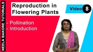 Reproduction in Flowering Plants  NEET  Pollination  Introduction  Neela Bakore Tutorials [upl. by Kohsa641]