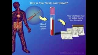 Viral Load and Monitoring [upl. by Dowlen]