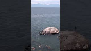 Discover Lake Baikal Earths Deepest Lake [upl. by Ahsa569]