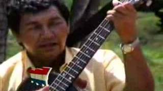 Musica Paraguaya  PolcaLos Carapegueños [upl. by Ahsiele]