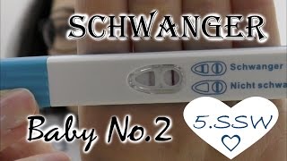 Ich bin schwanger mit Baby Nummer 2 ♥ 5SSW ♥ Schwangerschaftsupdate ♥ AnnCooki [upl. by Goldberg747]