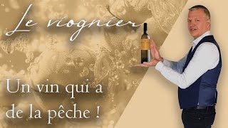 Le viognier  un vin qui a de la pêche [upl. by Dielle530]