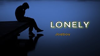 Joeboy  Lonely Extended Version by Dj iTEN djblaqtanzanite lonely joeboy [upl. by Tresa]