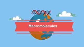 MacromoleculesA Beginners Guide [upl. by Schmitt]