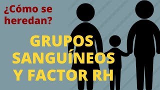 ¿CÓMO SE HEREDAN LOS GRUPOS SANGUÍNEOS [upl. by Pitts953]