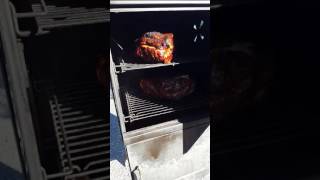 Brinkmann Smoker Update [upl. by Jed18]