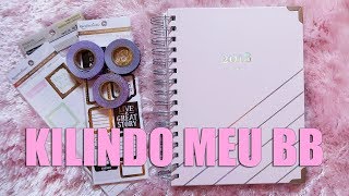 PLANNER LINDO PRA 2018  Nath Araújo [upl. by Barbarese]