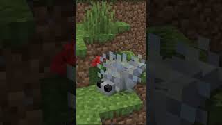 Silverfish Love Minecraft Animation [upl. by Nyledaj]