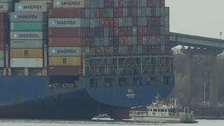 Baltimore bridge collapse port closure sends companies scrambling to reroute cargo [upl. by Hareehahs]