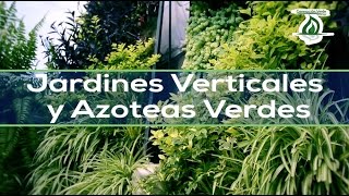 Jardines Verticales y Azoteas Verdes [upl. by Korwin]