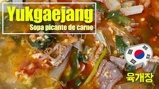 Yukgaejang  Sopa Coreana picante de Carne  Spicy beef soup 육개장 [upl. by Euqinehs600]