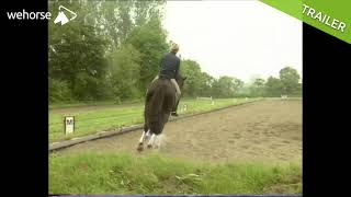 Außengalopp reiten So klappts  Dr Reiner Klimke [upl. by Farlee267]