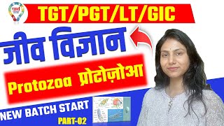 TGT PGT LT GIC BIOLOGY Protozoa प्रोटोज़ोआ LEC02  biology protozoa BY DEEPSHIKHA MAAM ugcnet [upl. by Atnuahc50]