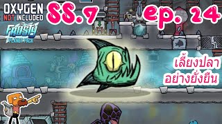 Oxygen Not Included SS 7 EP 24 ทำห้องเลี้ยงปาคู และเก็บเกี่ยวอัตโนมัติ [upl. by Ludeman413]