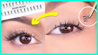 Técnica Híbrida ● Tutorial de Extensiones de Pestañas 🔝 BeautyLash [upl. by Ellebasi643]