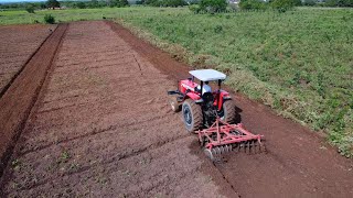 Imagem aérea do trator MF 283 passando a grade de 24 discos na terra para o plantio da mandioca [upl. by Ondrea]