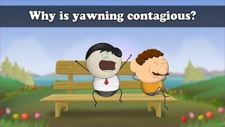 Why is yawning contagious  aumsum kids science education children [upl. by Kcid792]