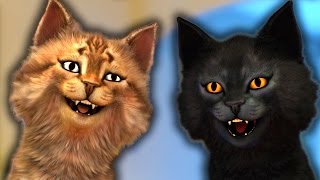 DEUX CHATS SUR BAZOOCAM LE RERETOUR [upl. by Dachia910]