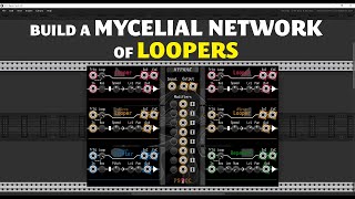 Hyphae Overview and Tutorial \ Build a Mycelial Network of Loopers [upl. by Ardeid]