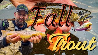 Fall Stream Trout Fishing In Wisconsin [upl. by Daahsar]