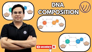 DNA COMPOSITION  BASICS OF DNA STRUCTURE  MOLECULAR BIOLOGY CSIR NET LIFE SCIENCE  NILESH SONI [upl. by Idelson300]