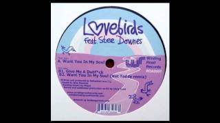 Lovebirds feat Stee Downes  Want You In My Soul Original Mix [upl. by Theurich]