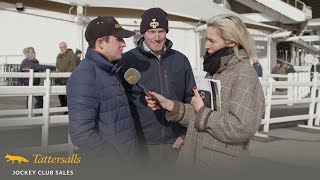 Review Tattersalls Cheltenham February Sale 2024 [upl. by Phalan]