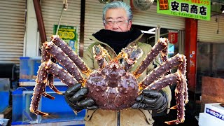 Japanese Street Food  GIANT ALASKAN KING CRAB Sashimi Hakodate Hokkaido Seafood Japan [upl. by Nwahsor]