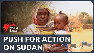 Sudan makes public call for peace while army ramps up attacks on paramilitary forces [upl. by Siderf]