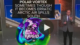 Polar Vortex Sudden Stratospheric Warming [upl. by Nalyr]