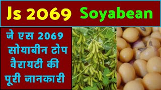 Js 2069 soyabean ki top variety ke baare me a to z poori jaankari [upl. by Ieppet557]