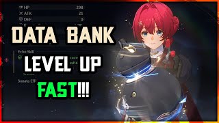 DATA BANK GUIDE FOR FAST LEVEL UP  Wuthering Waves [upl. by Rebor294]