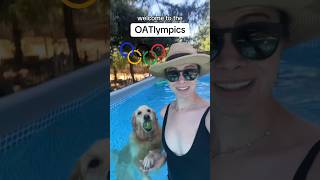 Aquatic fetch with the nastiest tennis ball ever Olympics TeamUSA PoolTime [upl. by Bremen]