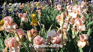 Il giardino dellIris Firenze [upl. by Zzabahs]