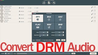 How to Remove DRM Protection in iTunes TunesKit DRM Audio Converter [upl. by Elletse806]