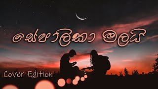 Sepalika Malai සේපාලිකා මලයි Cover By Miyuru Sangeeth [upl. by Kassi]