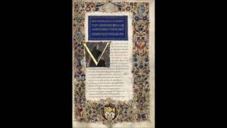 Petrarca  Il Canzoniere  XVI  XX componimenti [upl. by Louis]