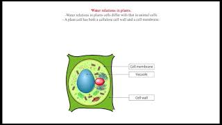 Water relations in plants [upl. by Handler]