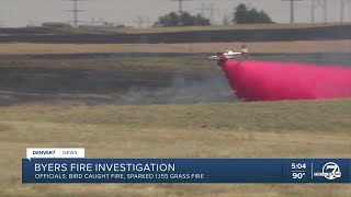 Byers grass fire sparked by bird officials say [upl. by Adalheid]