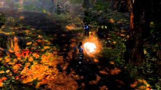 Dungeon Siege III Lucas Montbarron Character Video Vignette [upl. by Acsehcnarf133]