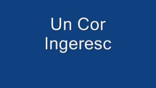 Un Cor Ingeresc  Fanfara [upl. by Daile]