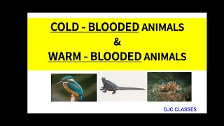 COLD  BLOODED ANIMALS amp WARM  BLOODED ANIMALS  POIKILOTHERMIC ANIMALS  HOMEOTHERMIC ANIMALS [upl. by Bobbe]