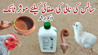 How to Clear a Chickens Airway  Free Air for Poultry Respiratory Problems  Dr ARSHAD [upl. by Iahc]