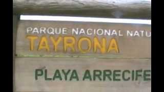 Tragedia en el PARQUE TAYRONA Santa Marta [upl. by Arikal]