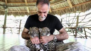 Subscribe for Animal amp Conservation News from ZWF Miami [upl. by Gunnar228]