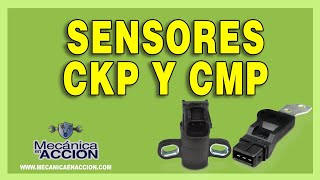 Sensores CKP y CMP funciones y características [upl. by Dominik]