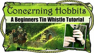 Lord Of The Rings  Concerning Hobbits  BEGINNERS TIN WHISTLE TUTORIAL [upl. by Reamy807]