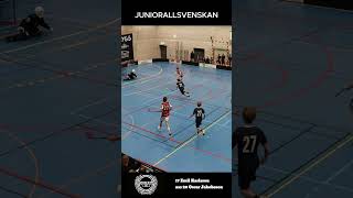 JAS HIK InnebandyFloorball [upl. by Aissat]